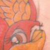 New School Birds-Close up 3