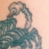 Scorpion Cover-up--BEFORE