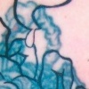 Scorpion Cover-up--DURING