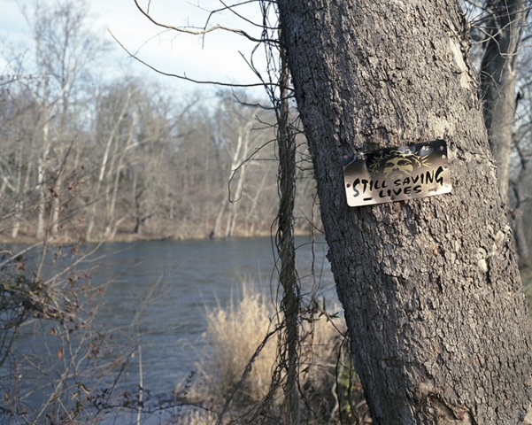 Holston River, Hickory Tree, TN