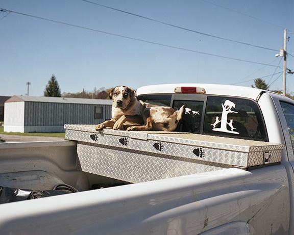 Coon Dog, Speedwell, VA