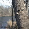 Holston River, Hickory Tree, TN