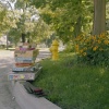 Untitled, near Woodstock, IL