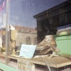 Shoe Shop, Erwin, TN