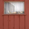 Untitled, Whiting, IN