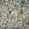 Figurine & Marbles, Chicago, IL