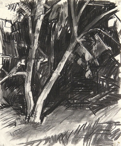 UNH trees