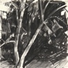 UNH trees