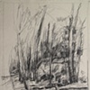 view from the studio