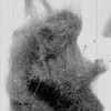 Hairball