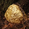 Fool's Gold