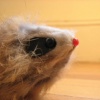 Mice
