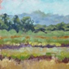 Summer Field