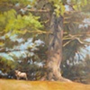 The Sentinel