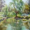 Willow Pond