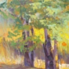 Tree Shadows