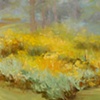 St. John Field