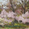 Spring Blossoms