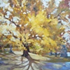Glorious Ginkgoes