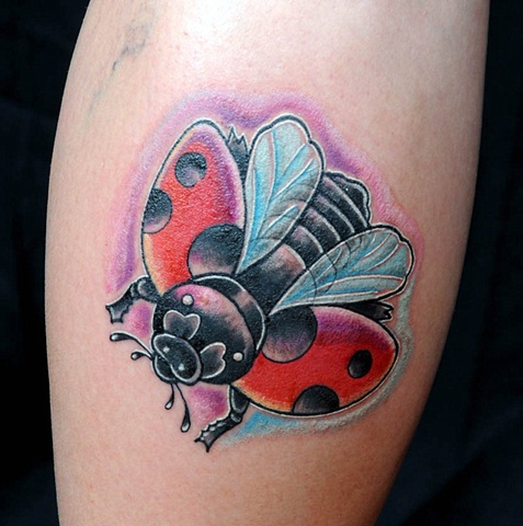 Ladybug