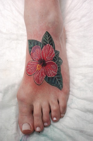 Hibiscus