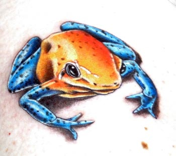 Poison dart frog