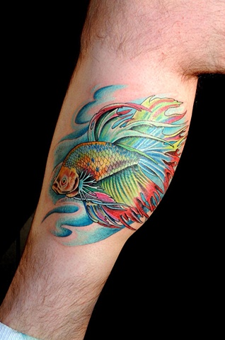 BACK TO TATTOOS BY PAUL N SHARE THIS Siamese fighting fish Beta 