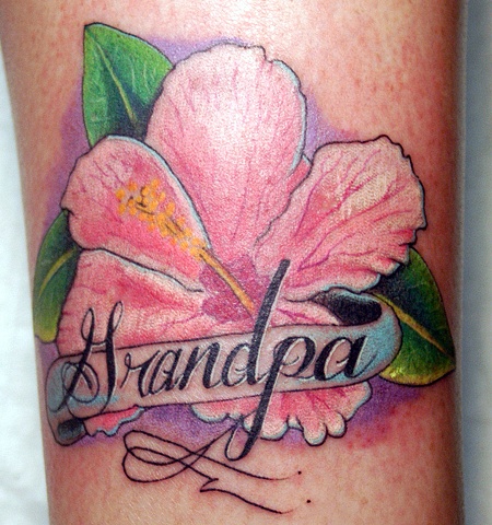 Hibiscus 2