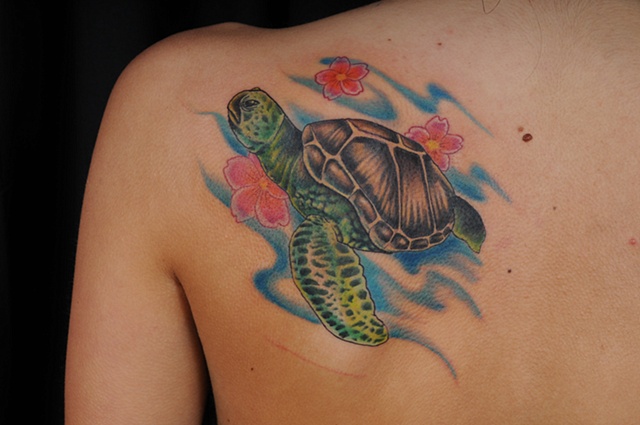 Sea turtle