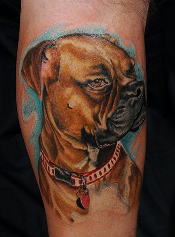 Roxy the boxer