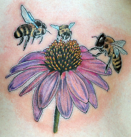 Aster with bees