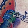 Birderfly