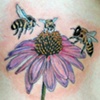 Aster with bees