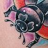 Ladybug