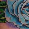 Rose cover up