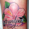 Hibiscus 2