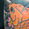 Koi