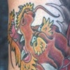 cover-up