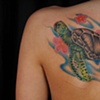 Sea turtle