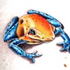 Poison dart frog