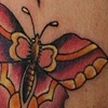 Butterflies