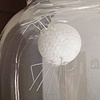 The Radiolarian Project