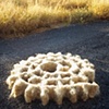 Crop Circle