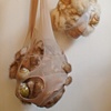 Nest