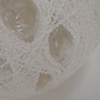 The Radiolarian Project