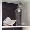 Radiolarian Project