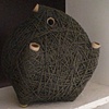 The Radiolarian Project