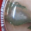Moss Agate Necklace