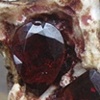 Bloody Garnets and one Love