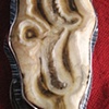 Horse Tooth Power Ring
